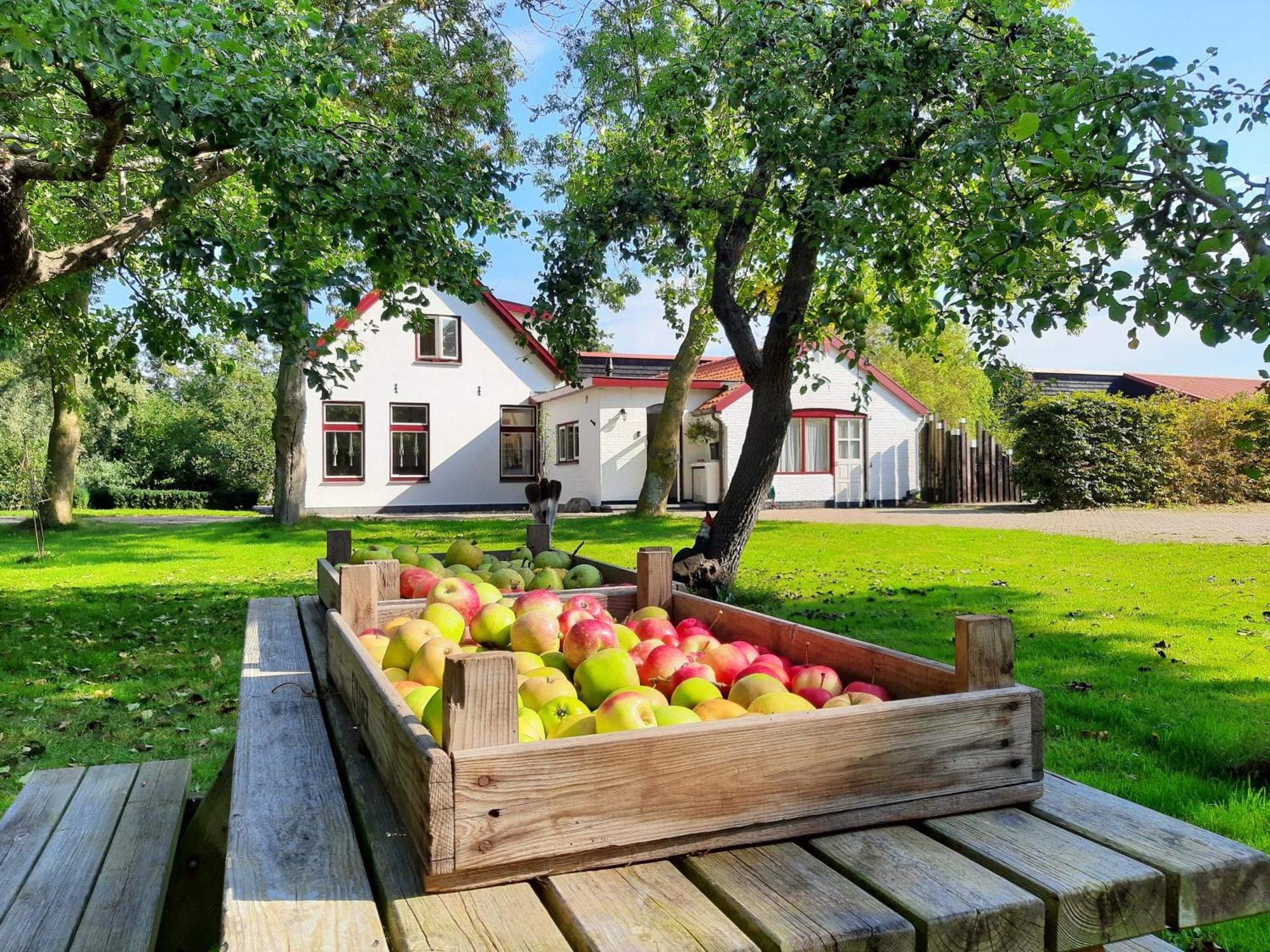 Apartamento De Vrijheid-Plantage De Cocksdorp  Exterior foto